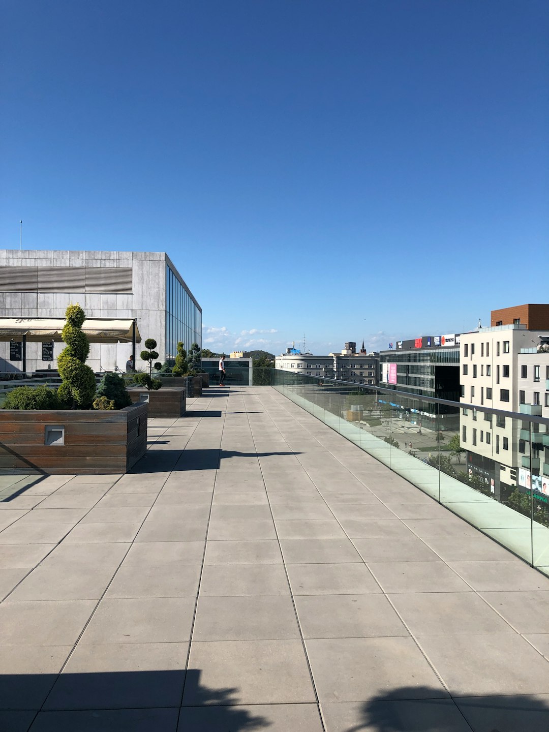 Rooftop Lounge